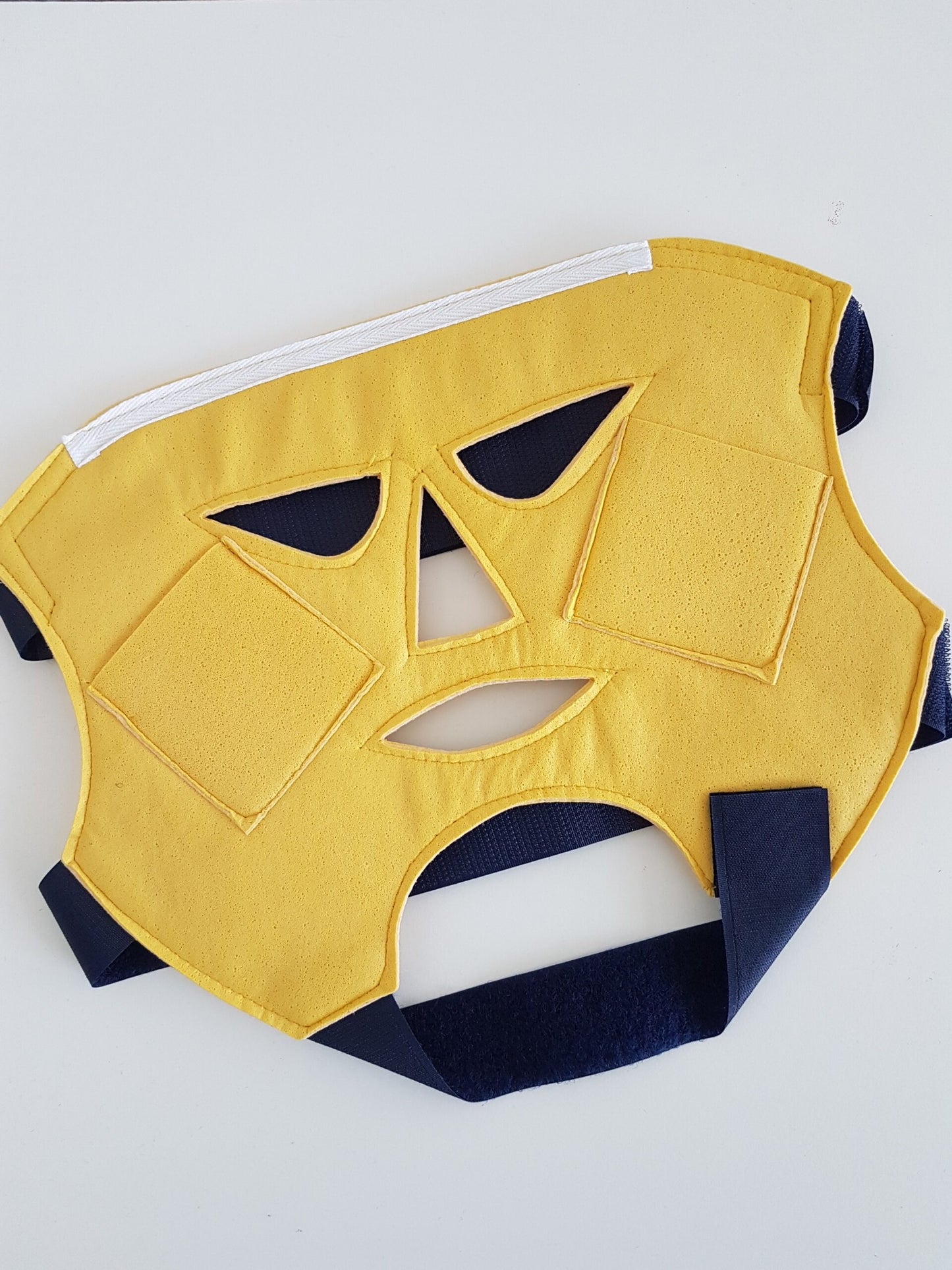 Gesichts-Elektroden-Maske