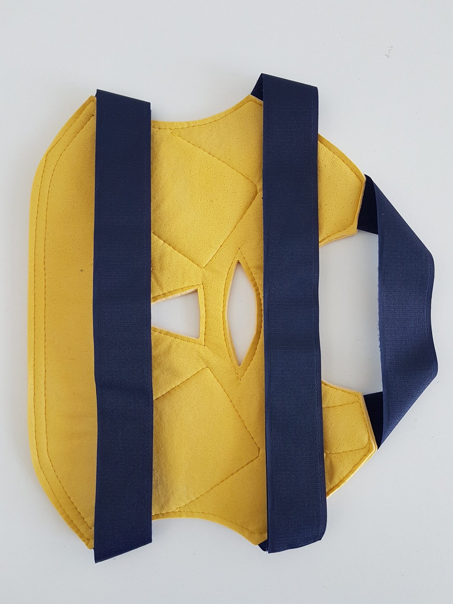 Gesichts-Elektroden-Maske