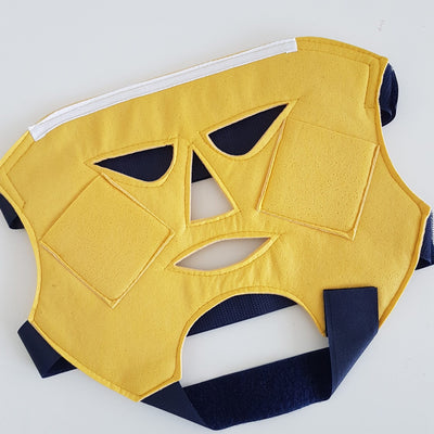 Gesichts-Elektroden-Maske